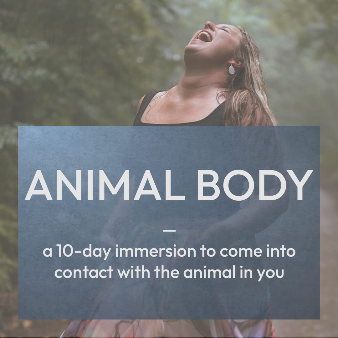The Animal Body: a 10-day immersion to come into contact with the animal in you