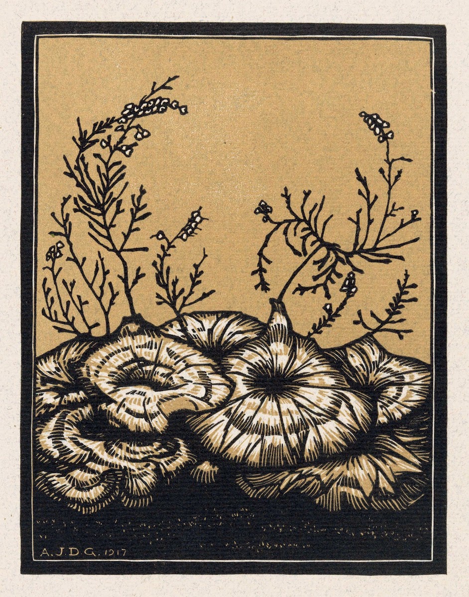 Bloeiende planten 1917