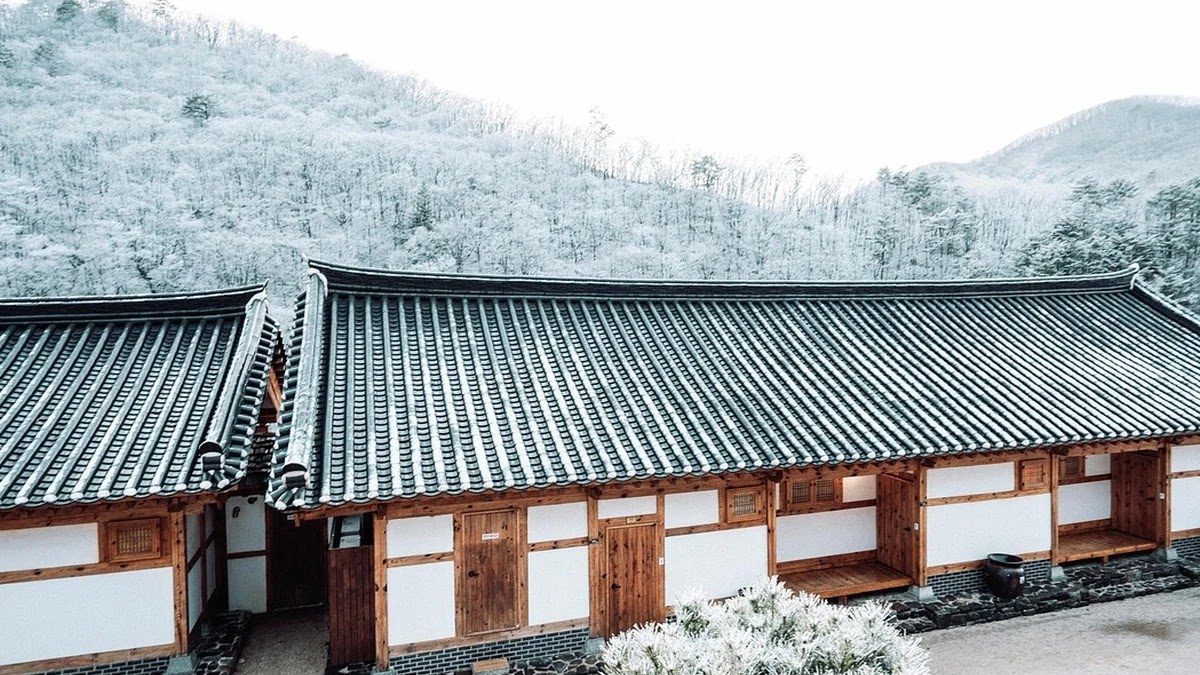 특례보금자리론과 디딤돌대출 조건별 구조와 활용 차이 분석