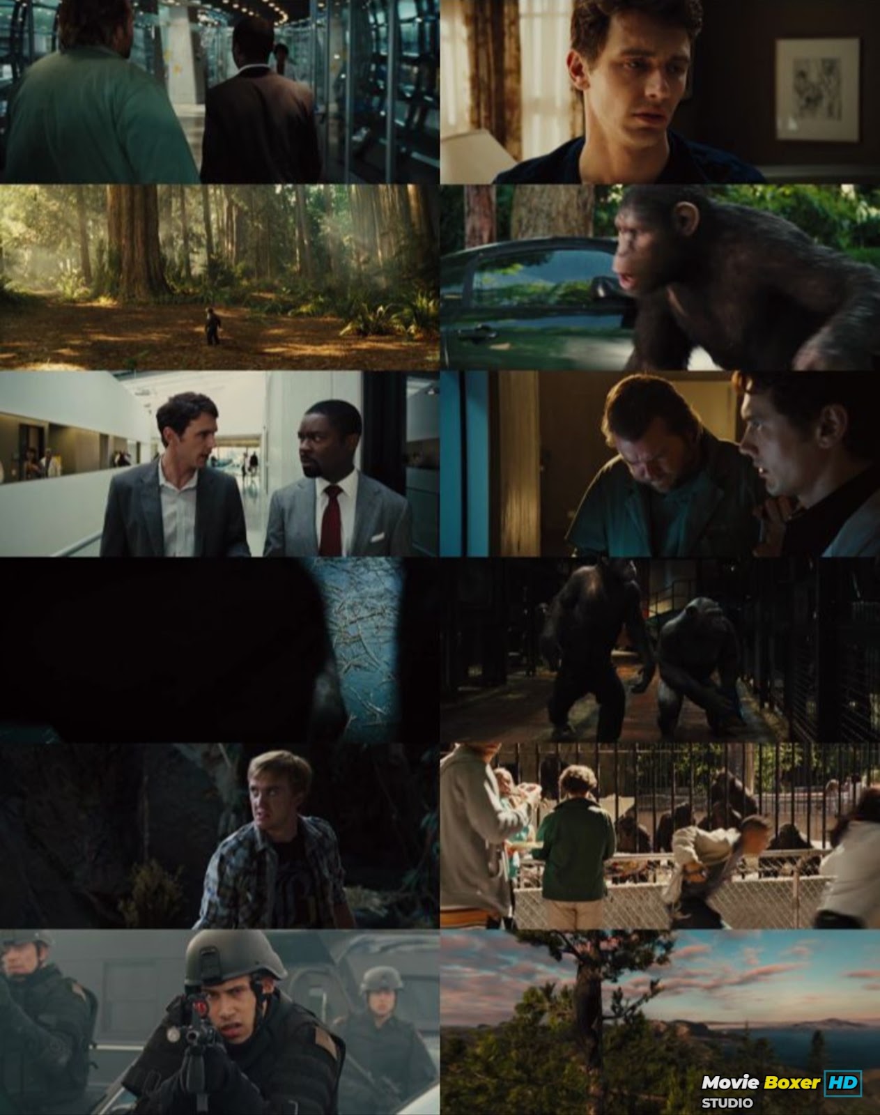 Screenshots Grid