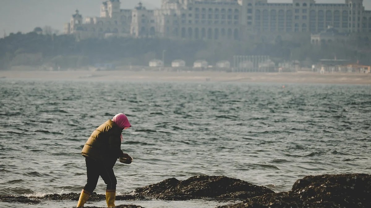 세대 갈등이 노동 시장 구조에 미치는 영향과 해결 조건