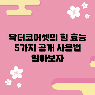 닥터코어셋 정보, 닥터코어셋 효능, 닥터코어셋 사용법, 닥터코어셋 어떻게 사용하나, 닥터코어셋 추천 이유