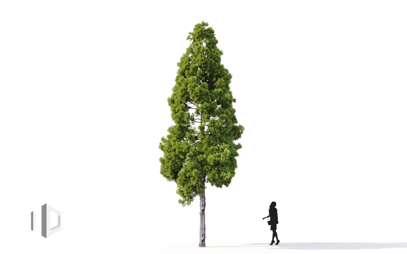 Maxtree - Plant Models Vol.9