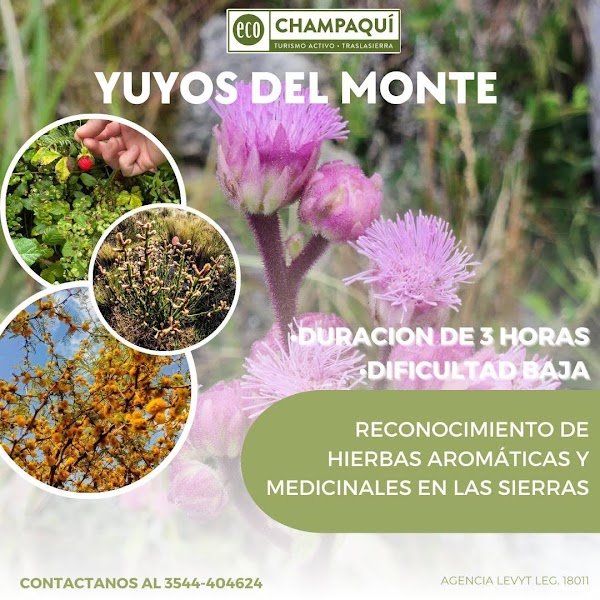 Feriado de Agosto en Ecochampaqui Excursiones