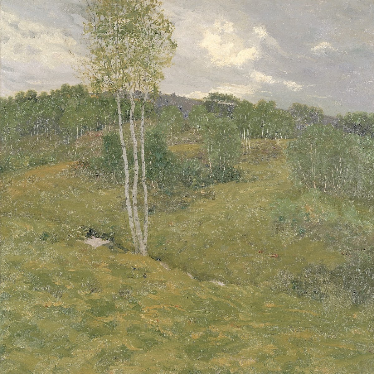 Birch Clad Hills ca 1908