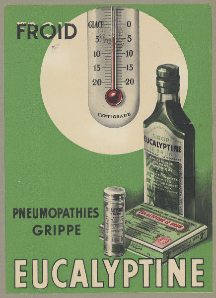 Eucalyptine Le Brun 1910 1950