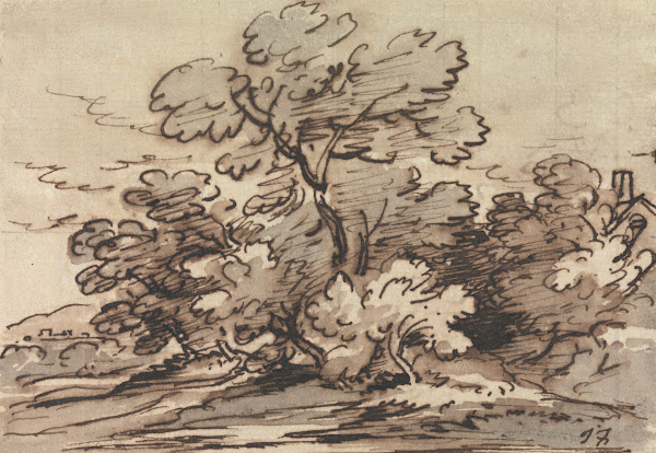 A Group of Trees