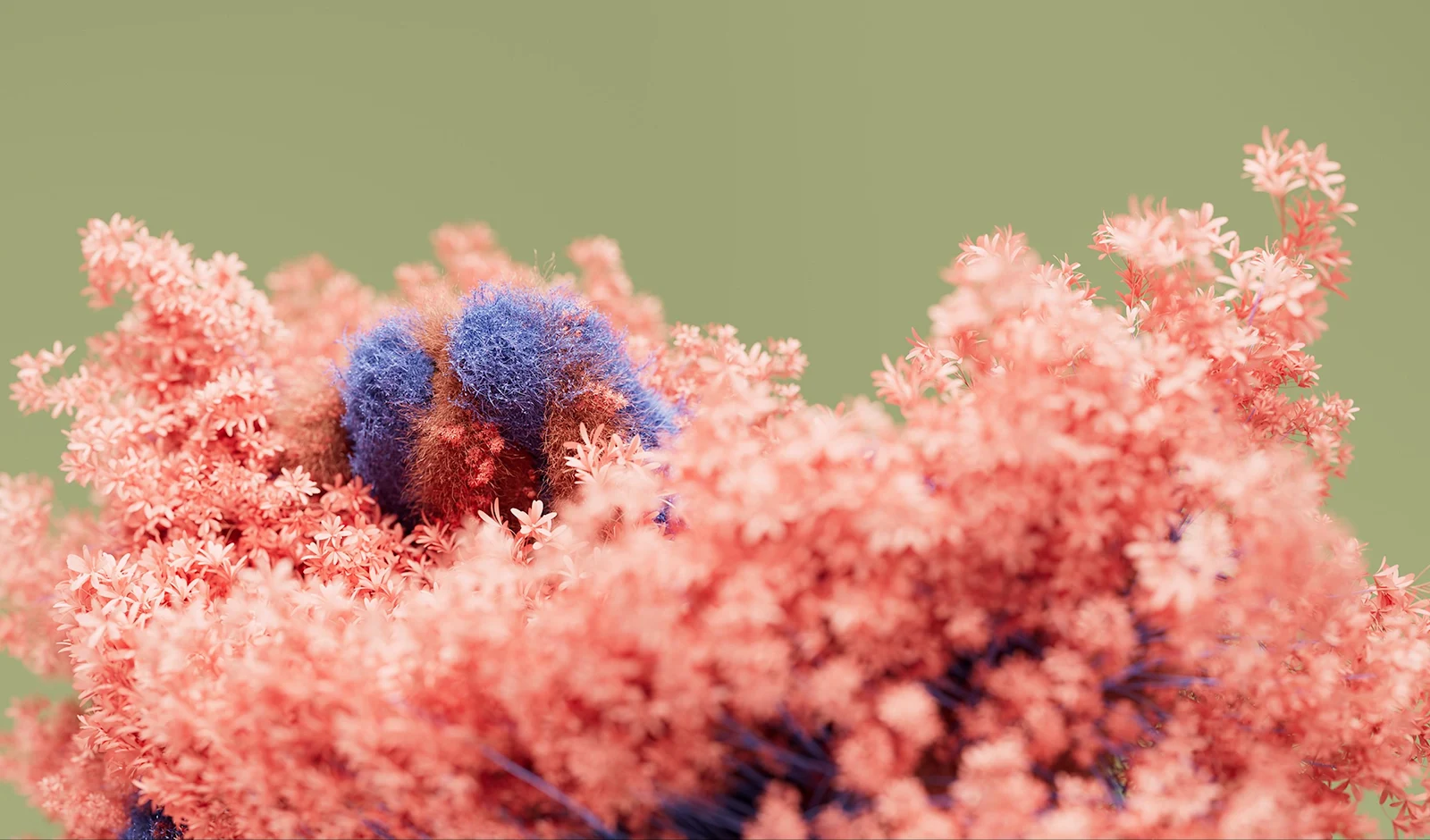 Soft Pink Floral Texture Macro - 3D Digital Art 2K Wallpaper (3680x2161)