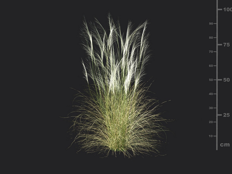 Maxtree - Plant Models Vol.115