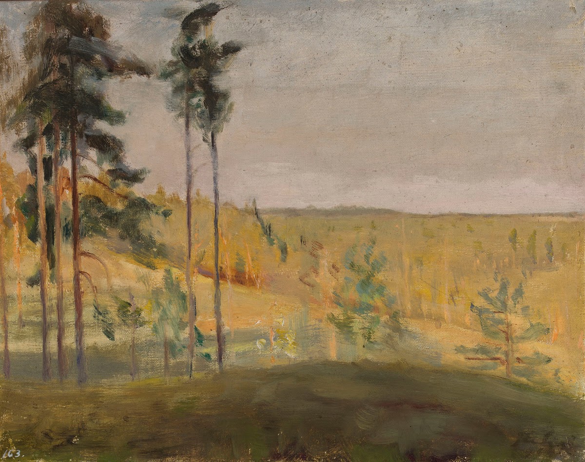 Terioki  Finland 1902