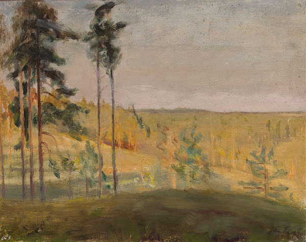 Terioki  Finland 1902