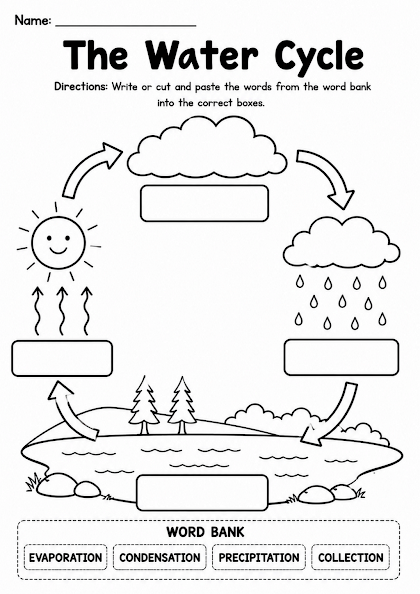 Label the Water Cycle