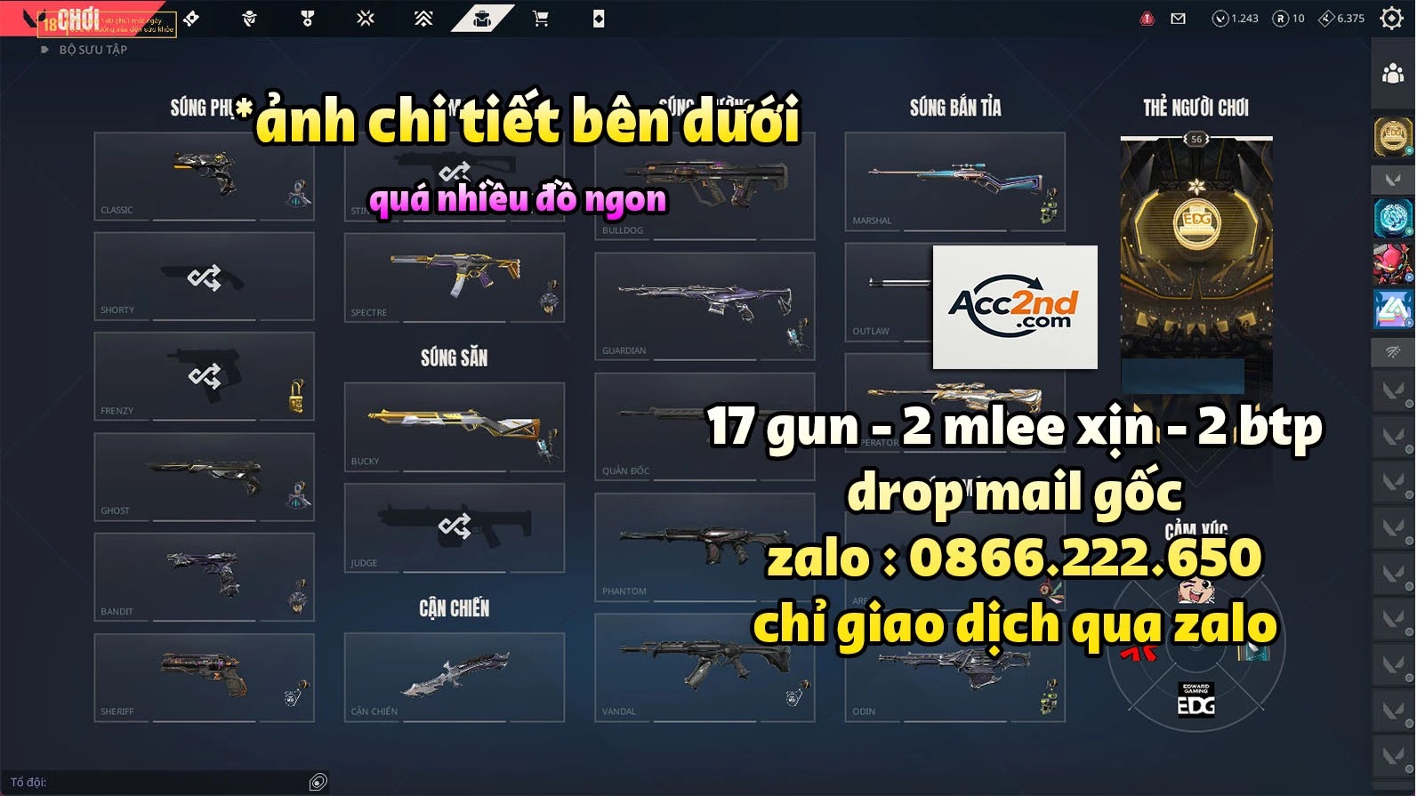 Account Preview