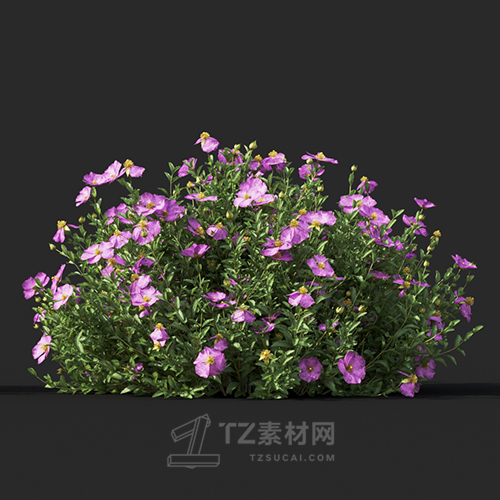 Maxtree - Plant Models Vol.60
