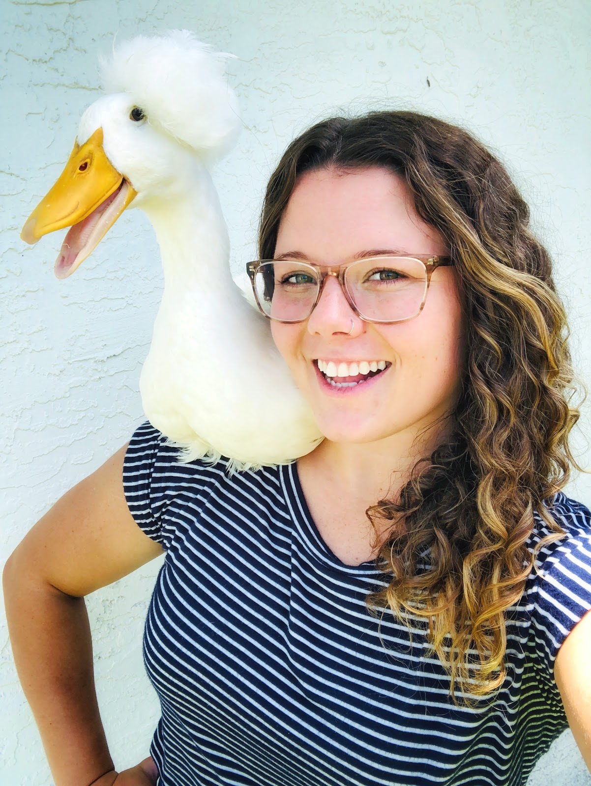 White Crested Duckling