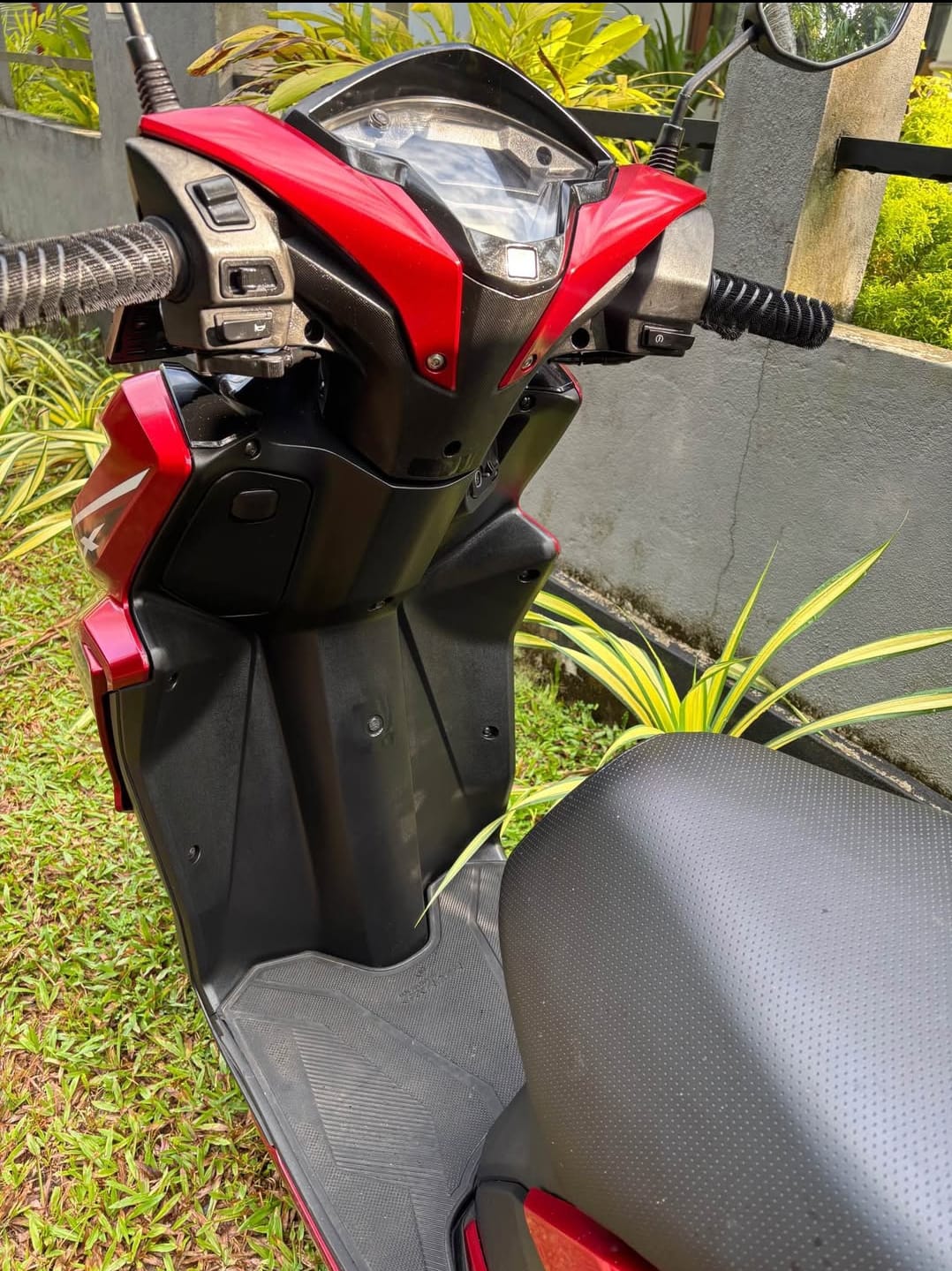 Honda grazia gallery