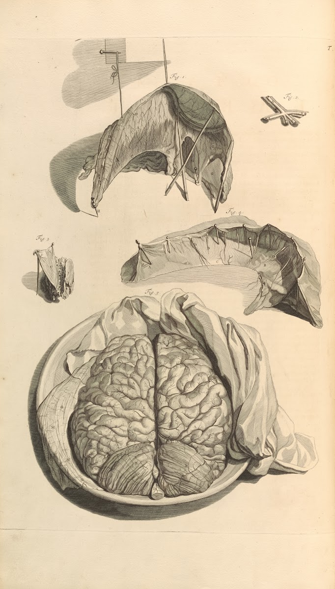 Anatomia humani corporis Pl009 1685