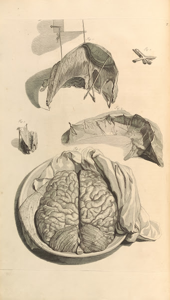 Anatomia humani corporis Pl009 1685