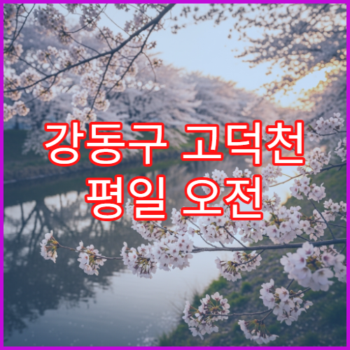 강동구 고덕천 평일 오전 혼잡 완벽 피하는 방문 시간대 가이드