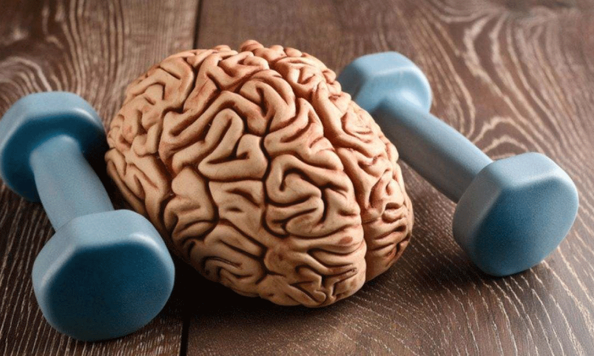 Ejercicio y memoria: la ventaja competitiva del alto rendimiento