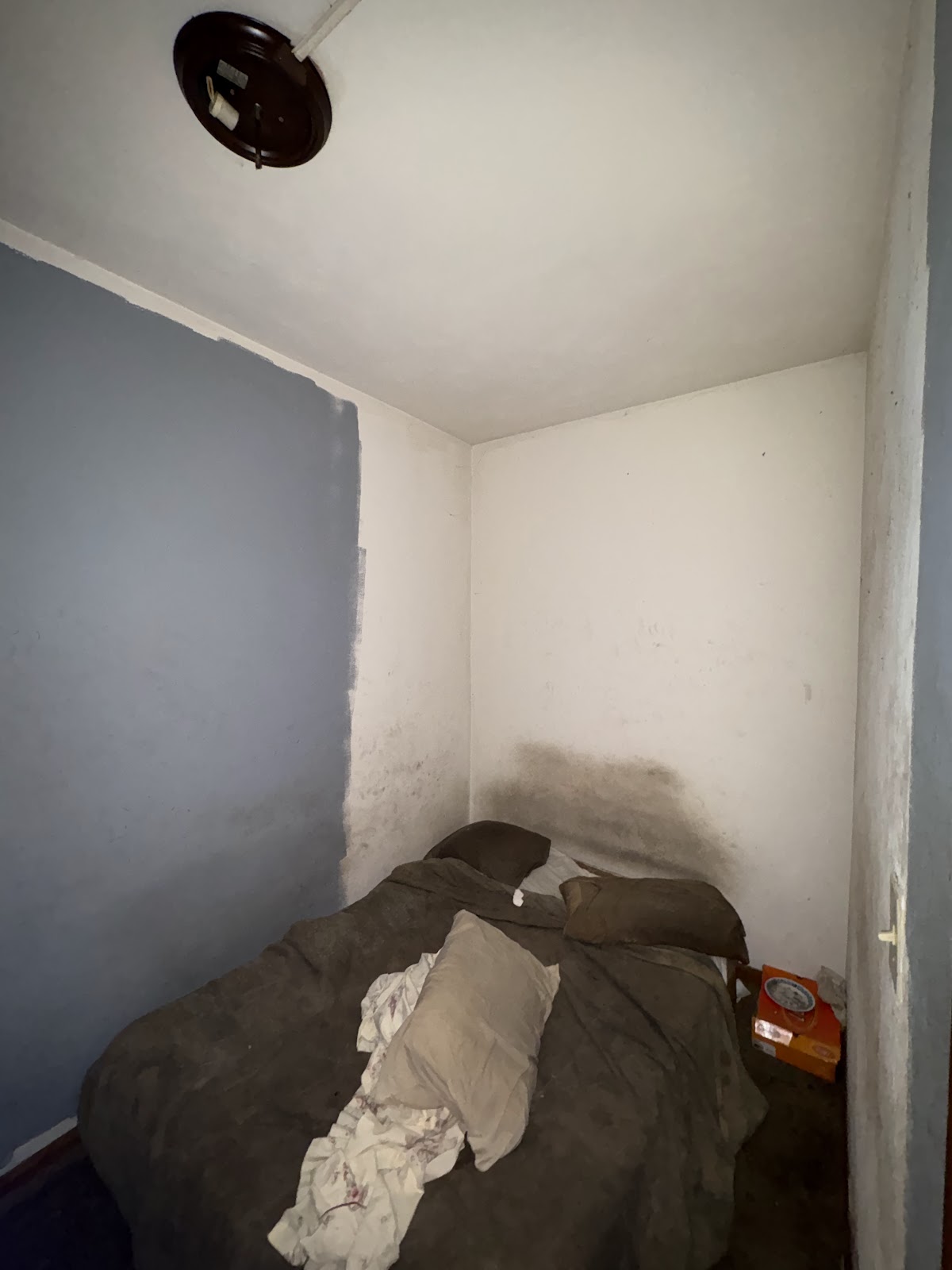 Copy of IMG_7535.HEIC