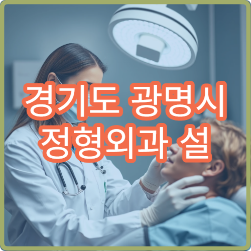 경기도 광명시 정형외과 설 명절 진료 병원 연휴 중 허리·관절 통증 진료 가능한 곳