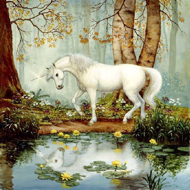 HAE DW008 Unicorn Forest