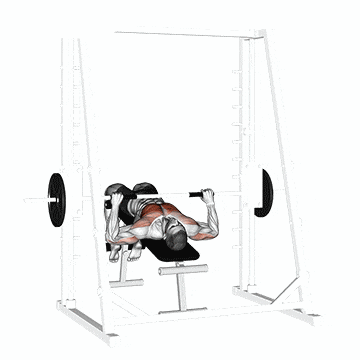 Smith Machine Decline Bench Press
