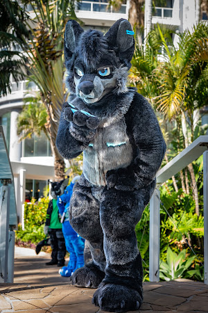 furdu-03966.jpg