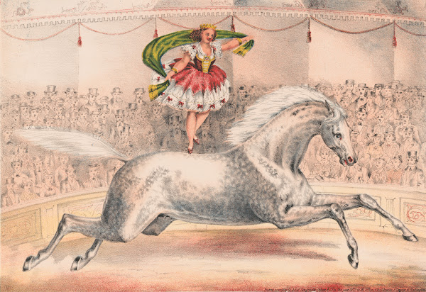 Circus performer standing on the back of a horse 1873