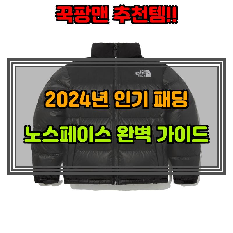 1월 8일, N쇼핑 검색 TOP 4, 노스페이스패딩 베스트 5