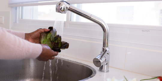 hands washing lettuce