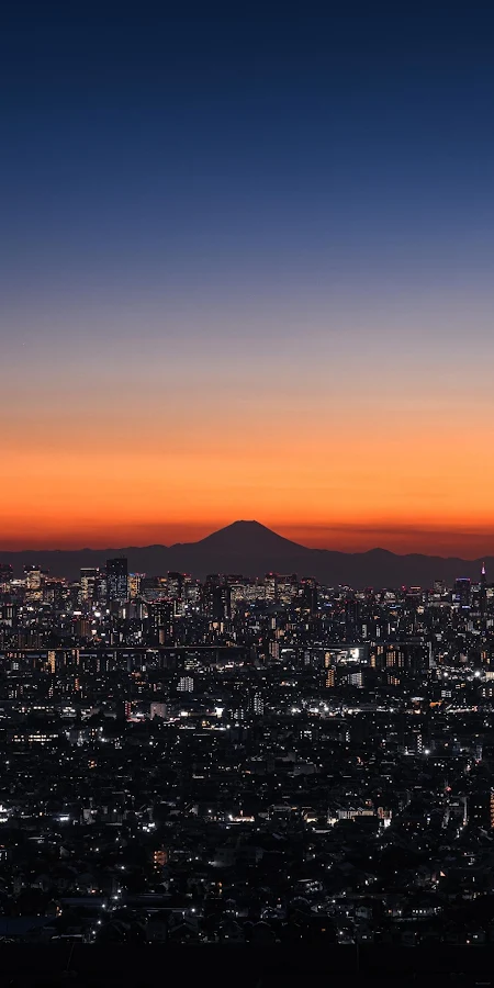 Fuji and Skytree Twilight View 4K Phone Wallpaper
