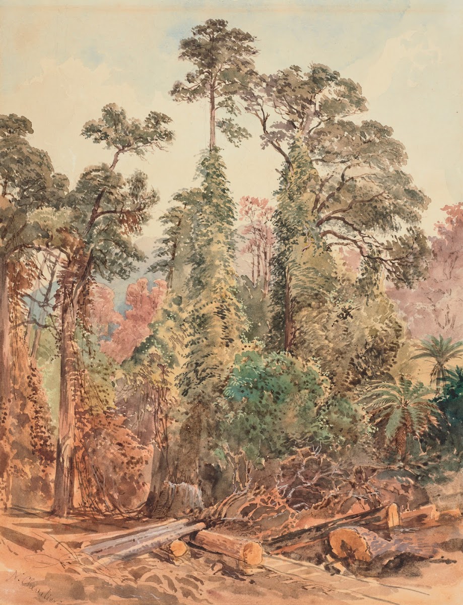 Untitled Bush Tramway Pigeons Bush 1866