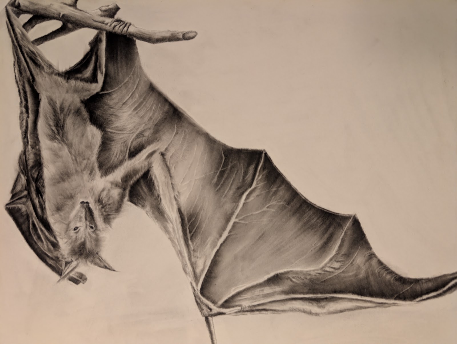 Charcoal and pan pastel