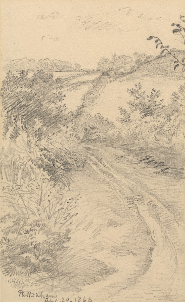 A Bushy Lane with a Field Beyond 1866