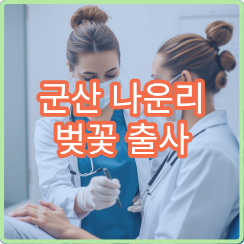 군산 나운리 벚꽃 출사 황금 시간 사진작가 추천 농가 배경 스팟