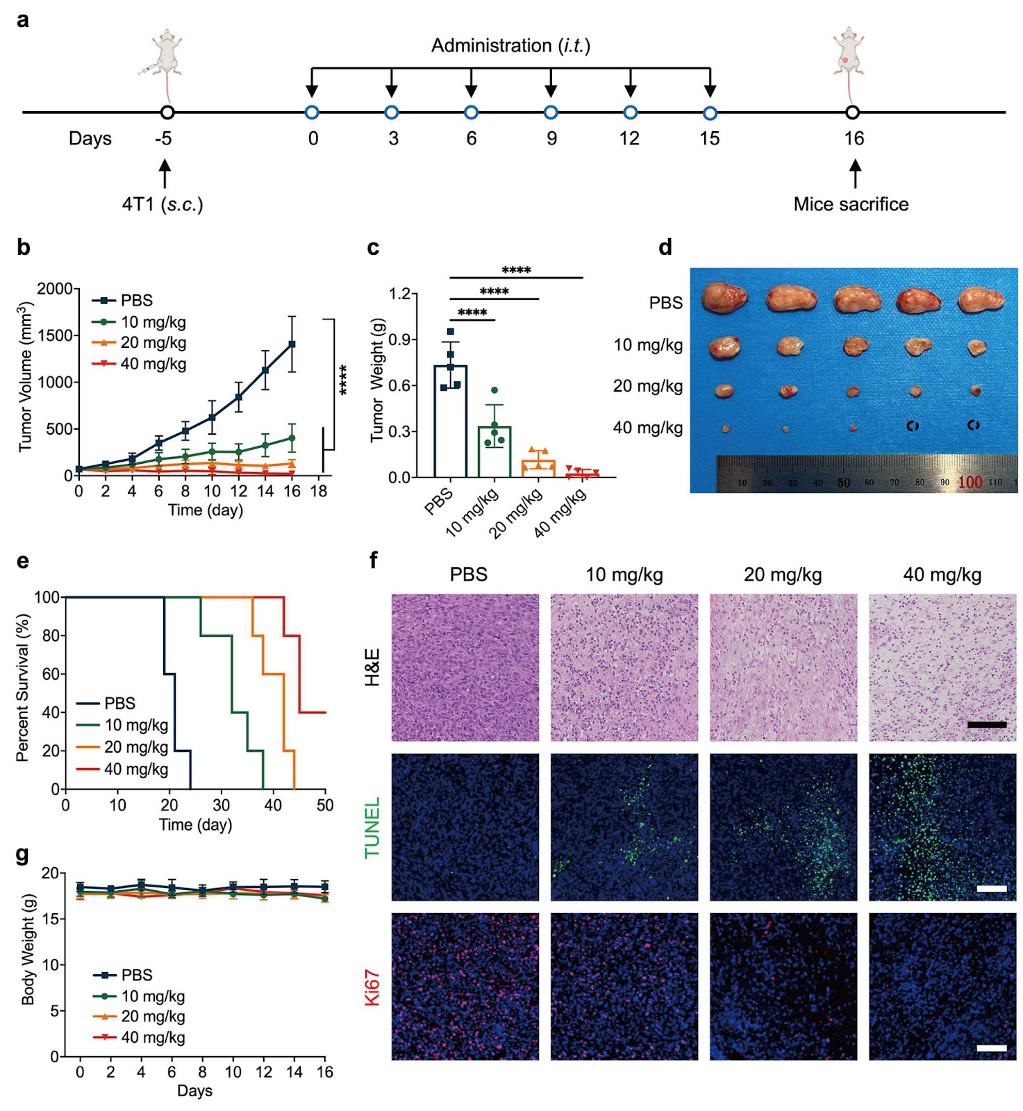 Immune-Activating Cationic Lipo-Polypeptides for Oncolytic Immunotherapy in Triple Negative Breast Cancer