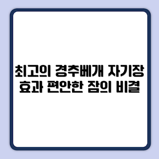 칼로 네오디뮴 필로우, 경추베개 추천, 자기장 메모리폼, 베이직 필로우 리뷰, 수면 건강