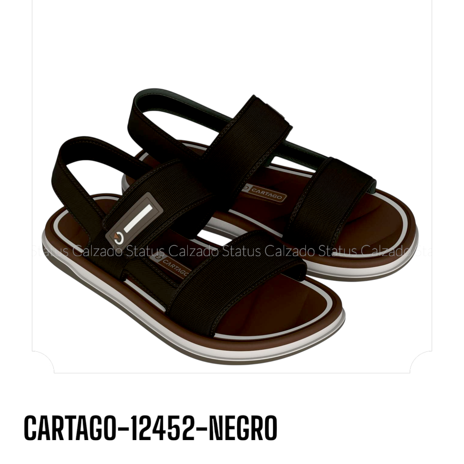 CARTAGO-12452-NEGRO