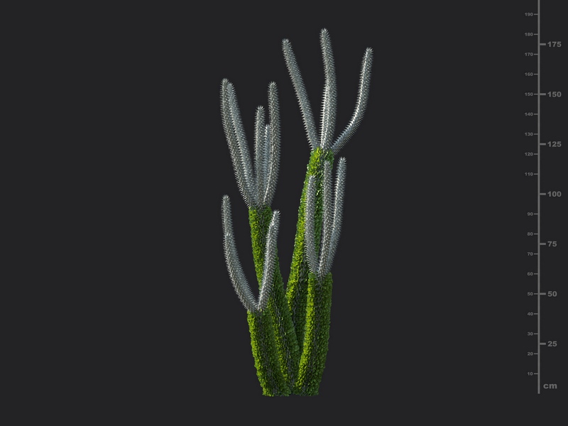 Maxtree - Plant Models Vol.130