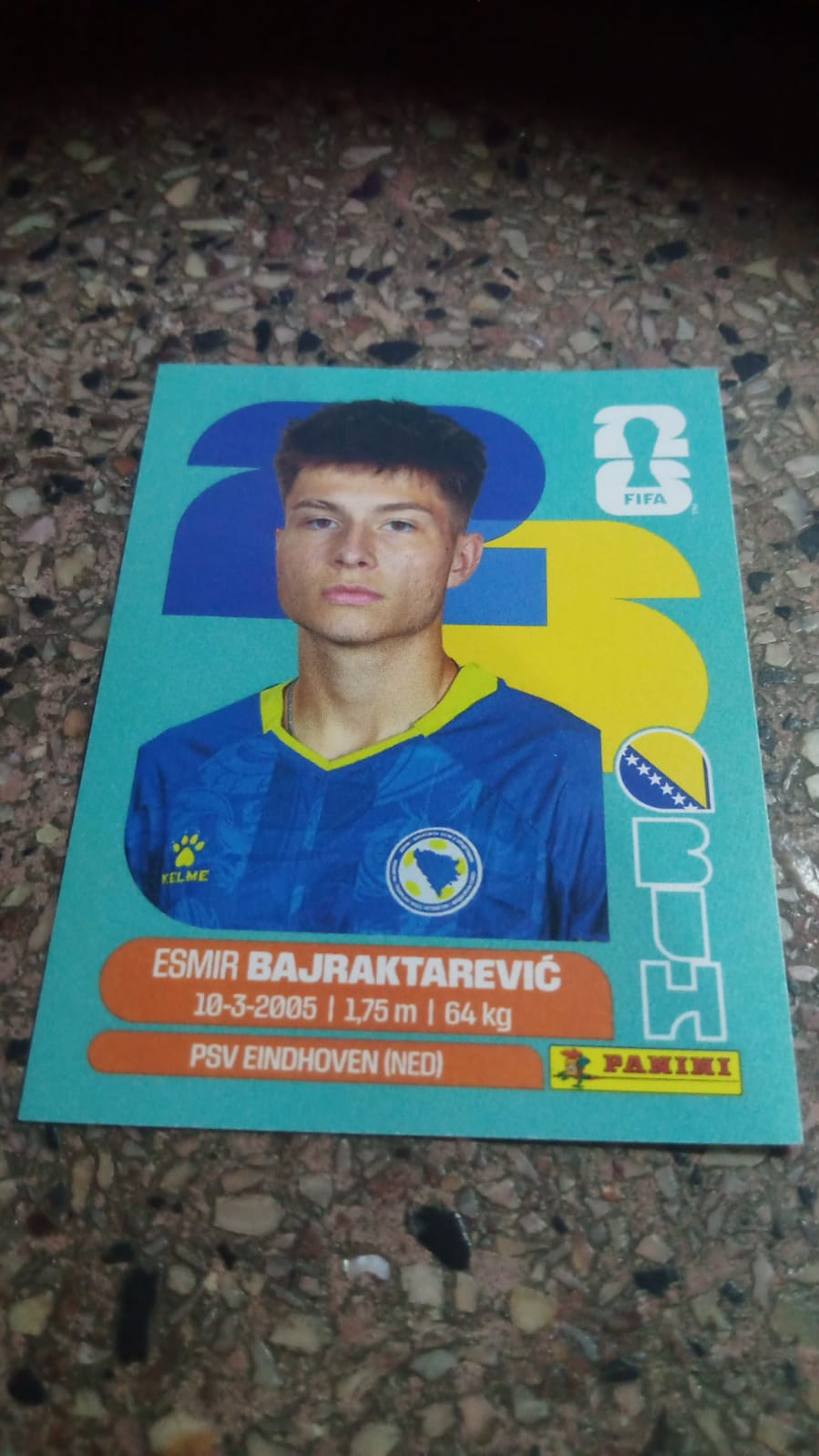 Esmir Bajraktarevic