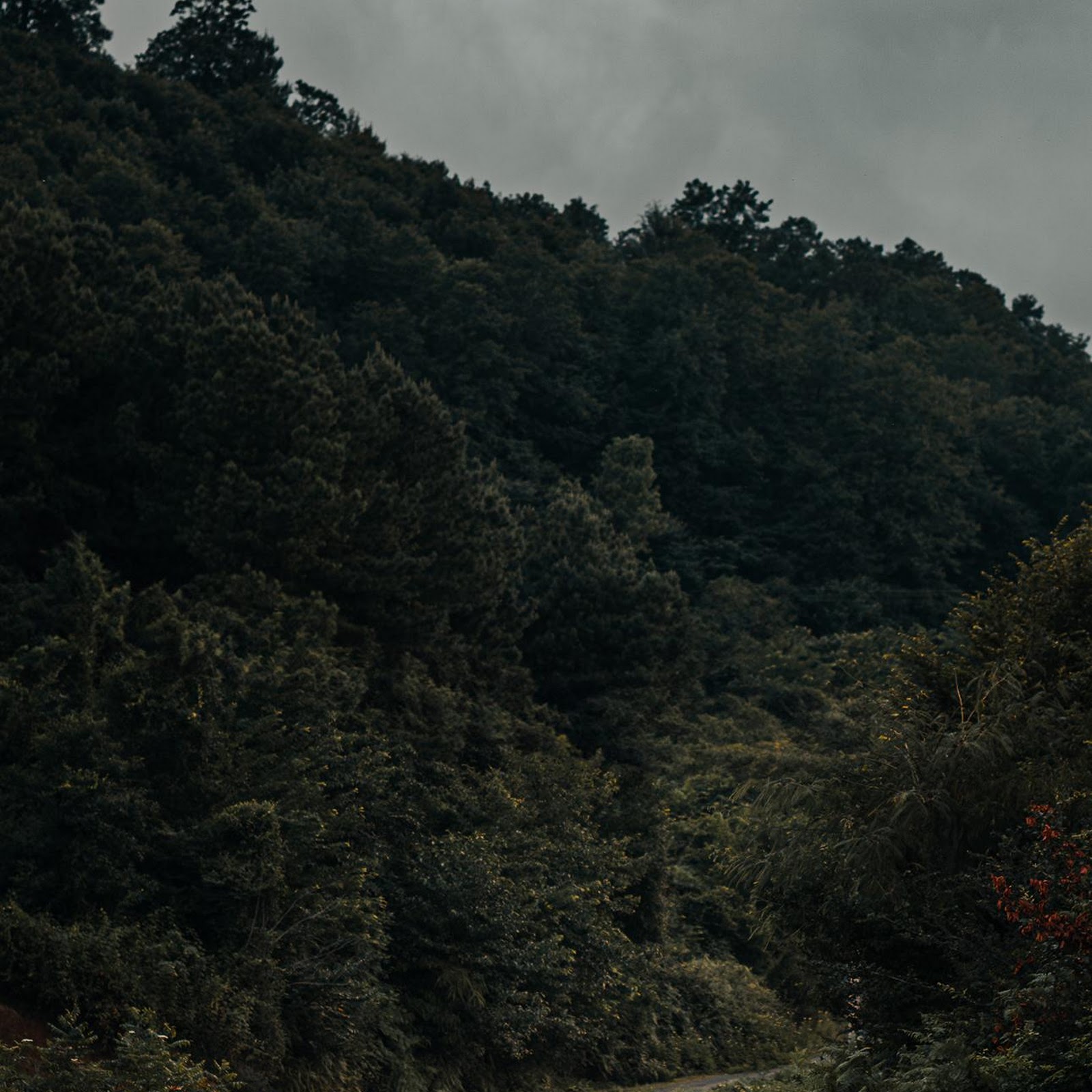 Download Winding Mountain Road Full HD iPhone