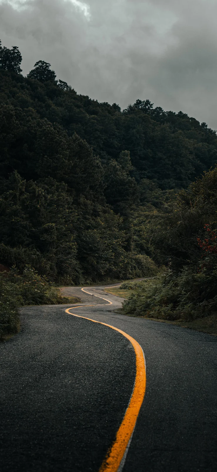 Winding Mountain Road - Landscape Photography Full HD iPhone Wallpaper (1290x2796)