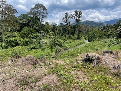 Tanah Dusun 2.2 Ekar Lubok Kelubi, Batu 20 Hulu Langat — foto 4/10