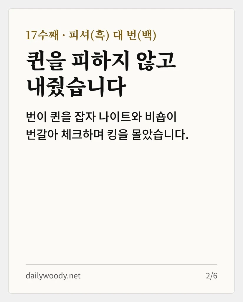 17수째, 피셔는 퀸을 피하지 않고 내줬습니다 (카드 2/6)