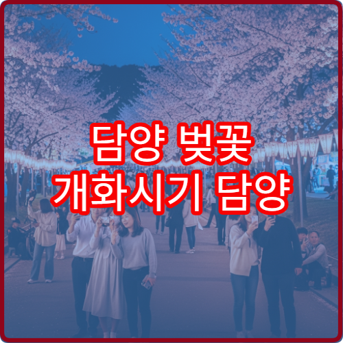 담양 벚꽃 개화시기 담양 벚꽃 언제 필까