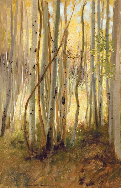 Sunlit Birch Forest