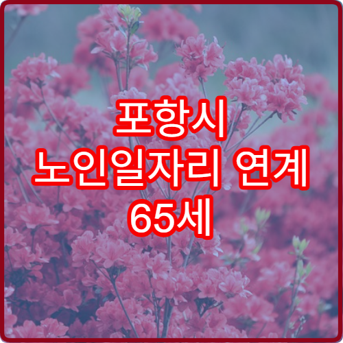 포항시 노인일자리 연계 65세 2026 희망센터 안내