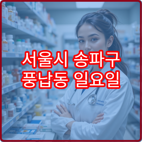 서울시 송파구 풍납동 일요일 당직약국 병원 방문 후 약 구매 가능